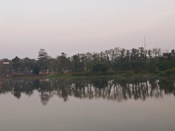 Pauses du matin sur le lac encore vitreux et le fond de l'arbre — Photo