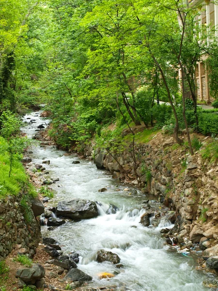 Arroyo forestal que corre sobre rocas en Teherán, Irán —  Fotos de Stock