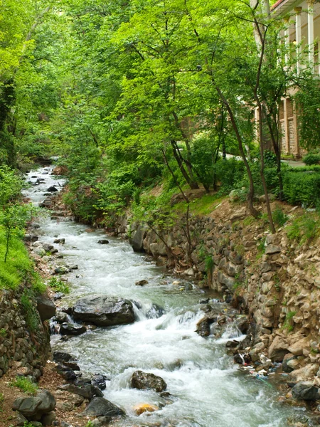 Fluxo florestal sobre rochas em Teerão, Irão — Fotografia de Stock