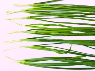 sarımsak beyaz zemin üzerine izole chives