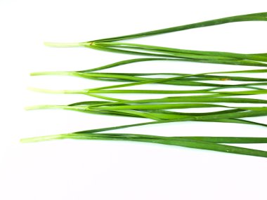 sarımsak beyaz zemin üzerine izole chives