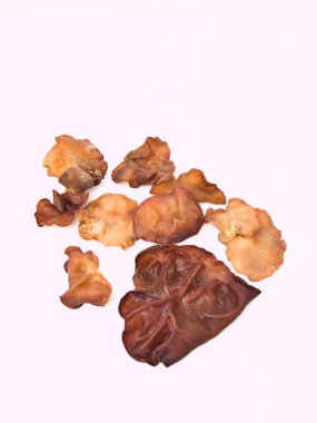 auricularia auricula whith özgeçmişlerine izole