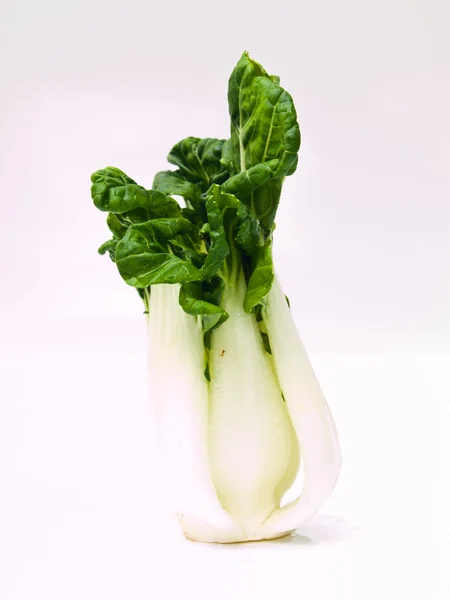 Bebê fresco bok choy, Brassica rapa chinensis, isolado em branco — Fotografia de Stock