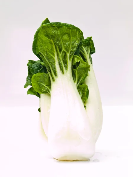 Bebê fresco bok choy, Brassica rapa chinensis, isolado em branco — Fotografia de Stock