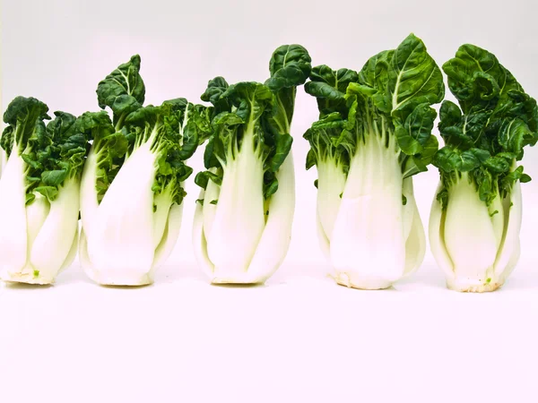 Branco di baby bok choy fresco, Brassica rapa chinensis, isolato — Foto Stock