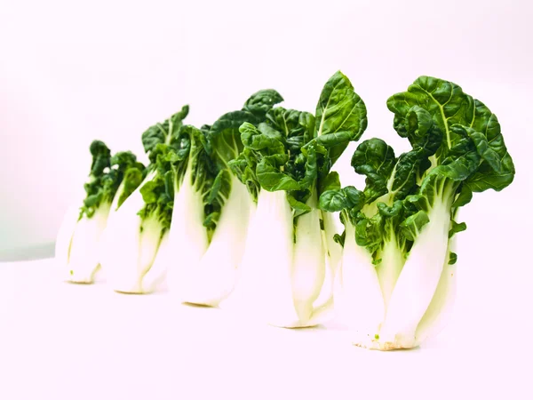 Bunch of Fresh baby bok choy, Brassica rapa chinensis, isolado — Fotografia de Stock