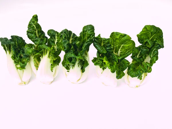 Branco di baby bok choy fresco, Brassica rapa chinensis, isolato — Foto Stock