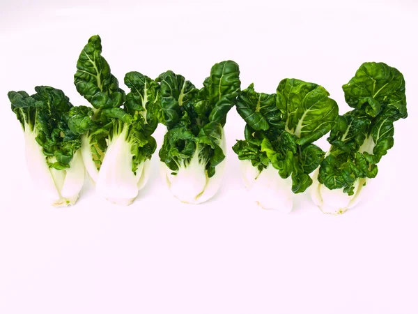 Bunch of Fresh baby bok choy, Brassica rapa chinensis, isolado — Fotografia de Stock