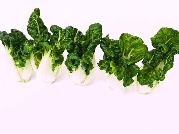 Bunch of Fresh baby bok choy, Brassica rapa chinensis,  isolated — Stock Photo, Image