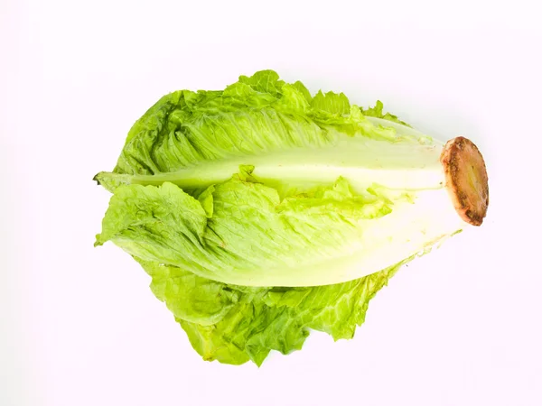 Fresco cos insalata isolata su sfondo bianco — Foto Stock