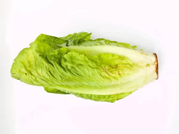 Fresco cos insalata isolata su sfondo bianco — Foto Stock