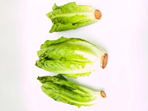 Verse cos salade geïsoleerd op witte achtergrond — Stockfoto