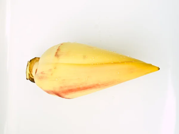 Flor de plátano fresca aislada sobre fondo blanco — Foto de Stock