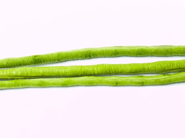 Langbønne, Vigna unguiculata subsp. sesquipedalis, isolert – stockfoto