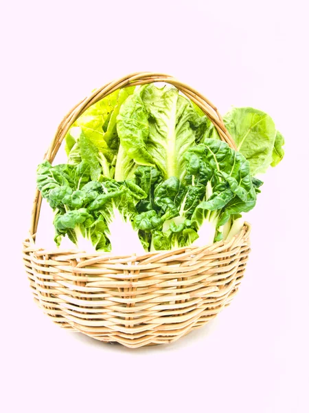 Fresh  baby bok choy and cos salad in ratten basket isolated on — Stock Photo, Image