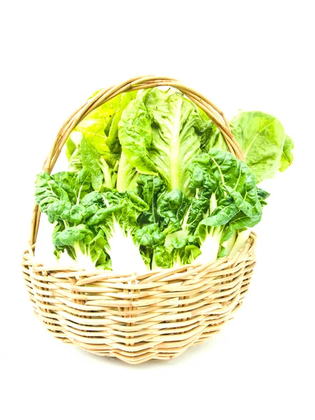 Fresh  baby bok choy and cos salad in ratten basket isolated on — Stock Photo, Image