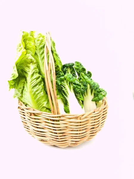 Fresco bambino bok choy e cos insalata in canestro ratten isolato su — Foto Stock