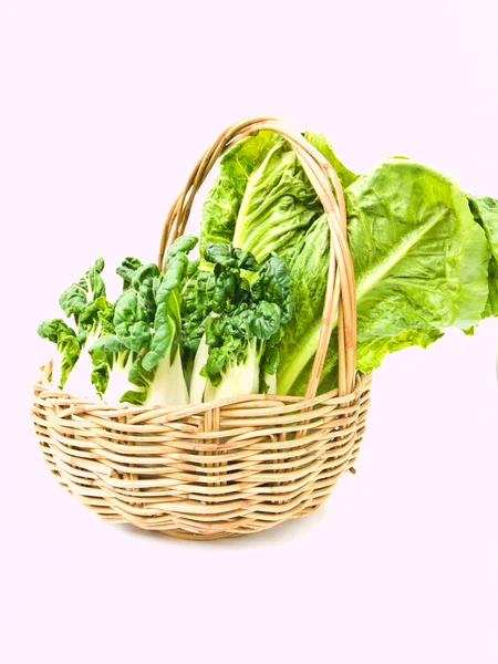 taze bebek bok choy ve cos salata ratten sepet içinde izole üzerinde 