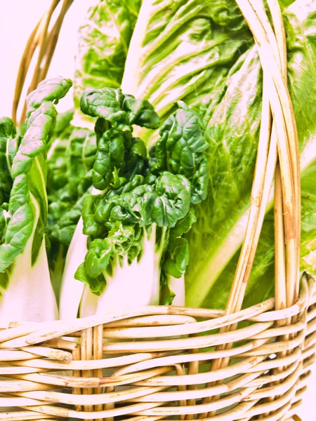 Closeup of fresh  baby bok choy ans  cos salad in ratten basket — Stock Photo, Image