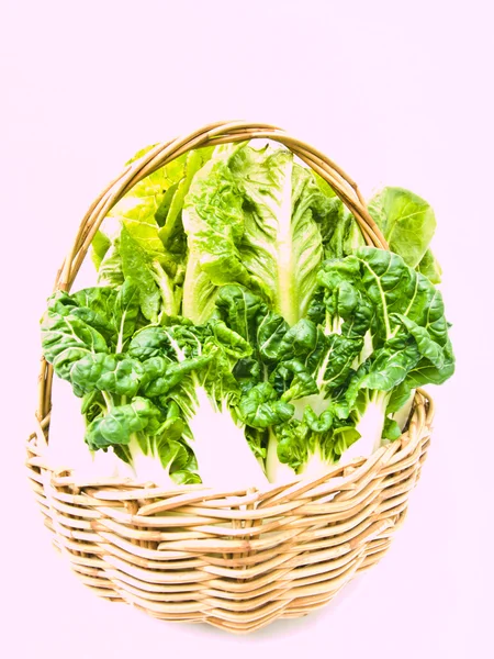 Fresh  baby bok choy and cos salad in ratten basket isolated on — Stock Photo, Image