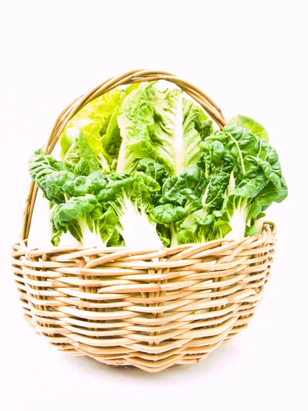 Fresh  baby bok choy and cos salad in ratten basket isolated on — Stock Photo, Image