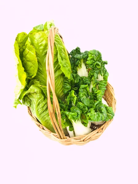 Verse baby bok choy en cos salade in ratten mand geïsoleerd op — Stockfoto