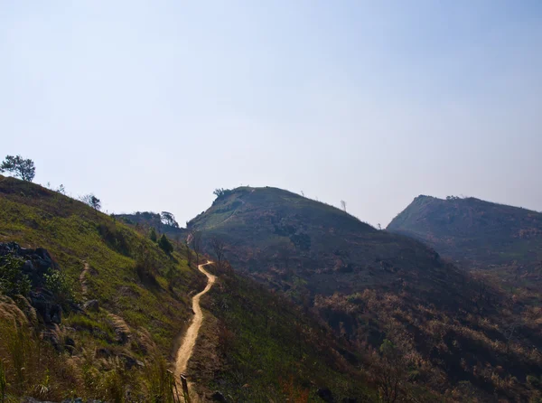 Gyalogos útvonal kilátás a Phatang hill, Chiang rai, Thaiföld — Stock Fotó