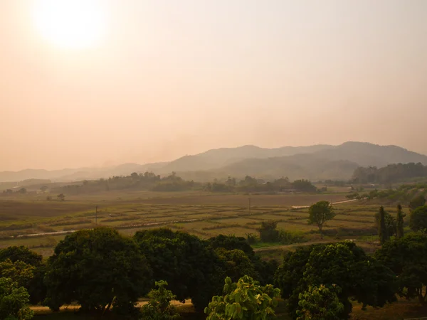 Campo Paddy e vista montanhosa do pôr do sol em Chiang Rai, Tailândia — Fotografia de Stock