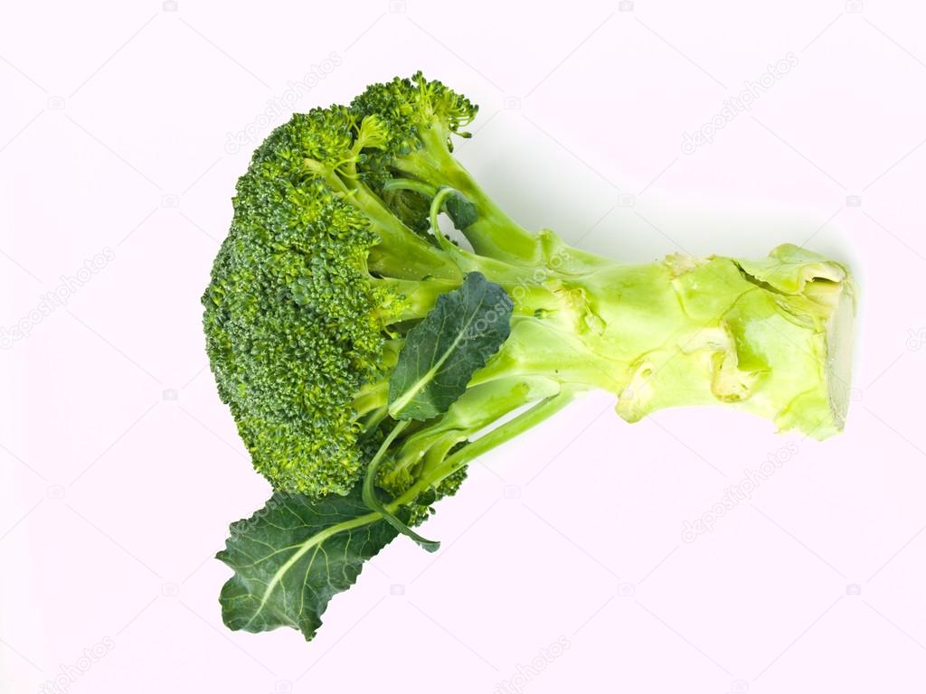 Fresh broccoli, Brassica oleracea var. italica, isolated on whit