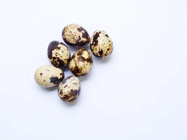 Quail eggs isolated on white background — Stock Photo, Image