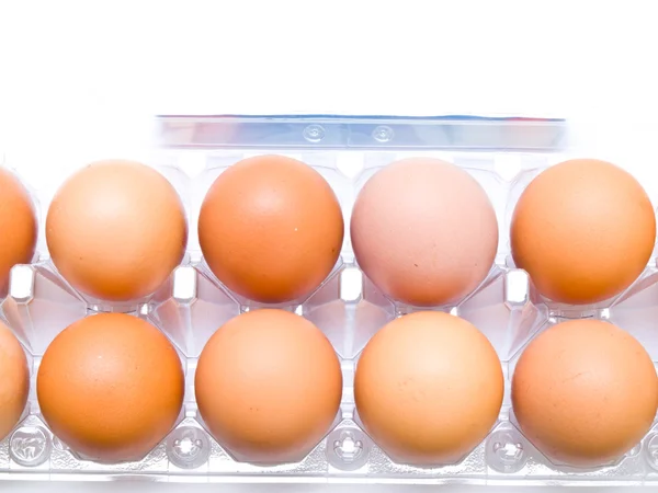 Eggs in plastic pack isolated on white  background — Stock Photo, Image