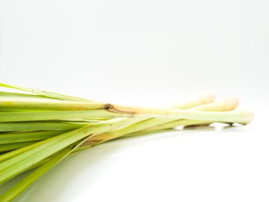 Beyaz arkaplanda taze limon otu izole edildi 