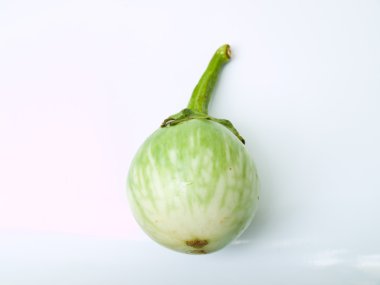 beyaz izole taze yeşil patlıcan, chionathus parkinonii,