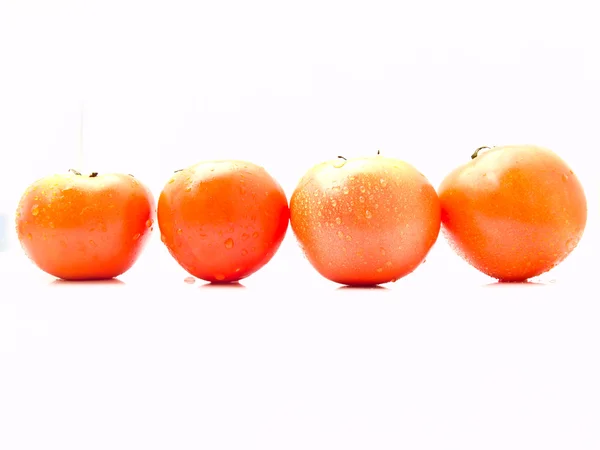 Pomodori isolati su fondo bianco — Foto Stock