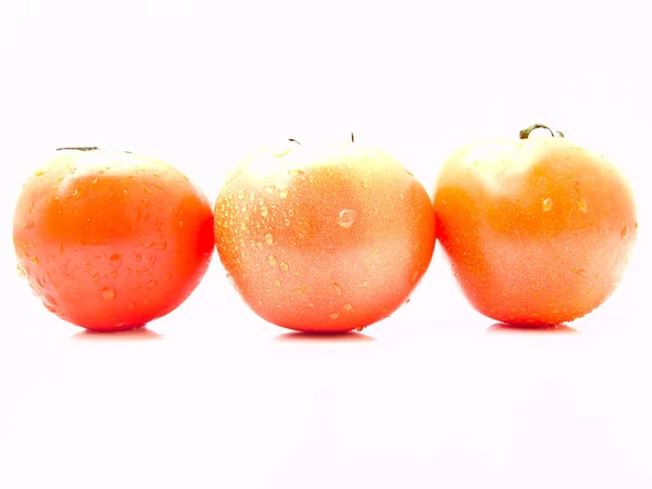 Tomates aislados sobre fondo blanco —  Fotos de Stock