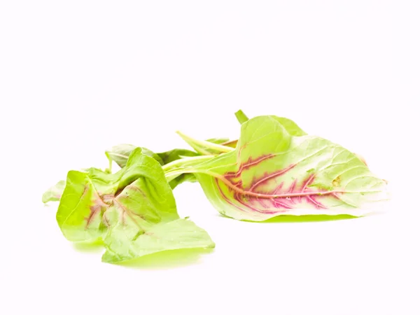 Świeże liście szpinaku izolowane na białym tle — Zdjęcie stockowe