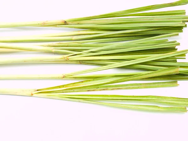Świeża trawa cytrynowa izolowana na białym tle — Zdjęcie stockowe