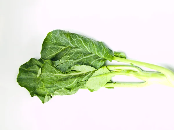 Fresh Chinese Kale isolated on white background — Stock Photo, Image