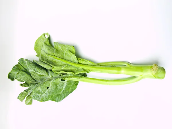 Fresh Chinese Kale isolated on white background — Stock Photo, Image