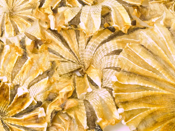 Round dried fishes from Thailand as background — Stock Photo, Image