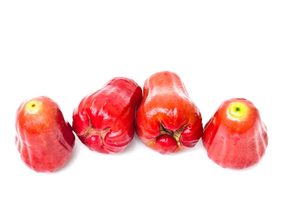 白い背景に分離されたローズりんご (フトモモ) — ストック写真