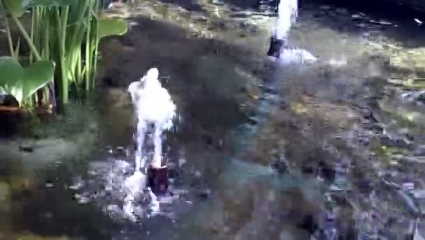 Fontaines doubles dans le jardin intérieur 