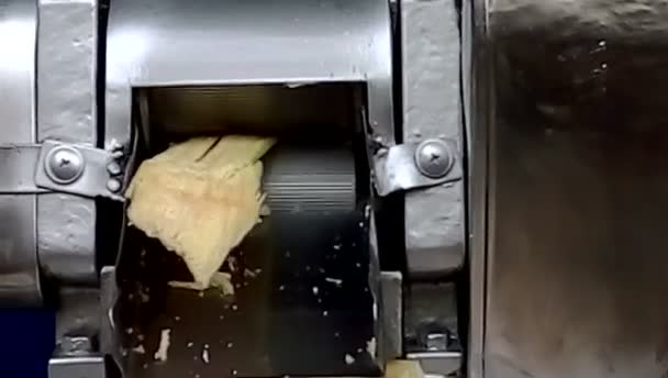 Cana de açúcar prensada em uma prensa de aço inoxidável que espreme o suco da cana de açúcar — Vídeo de Stock