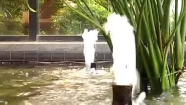 Çift Kişilik kapalı Bahçe pınarlarına
