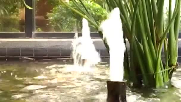 Fontes duplas no jardim interior — Vídeo de Stock