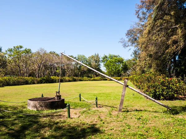 Goed op grasveld in zonnige dag — Stockfoto