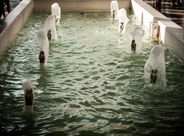 Grupo de fontes em estilo retro piscina ao ar livre — Fotografia de Stock