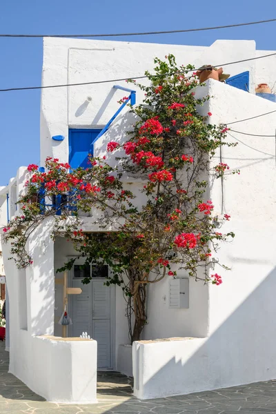 Whitewashed Casa Cíclica Com Flores Bela Cidade Chora Ilha Folegandros — Fotografia de Stock