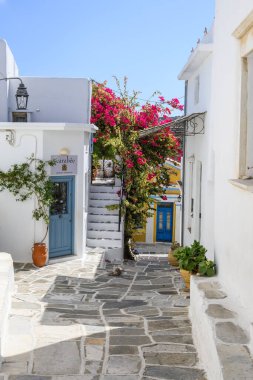 Paros, Yunanistan - 27 Eylül 2020: Paros adasında yaz çiçekleriyle süslenmiş cadde. Kiklad. Yunanistan.