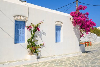 Folegandros Adası 'nda, Chora' da begonvil çiçekleriyle süslenmiş Yunan beyazı caddesi. Kiklad